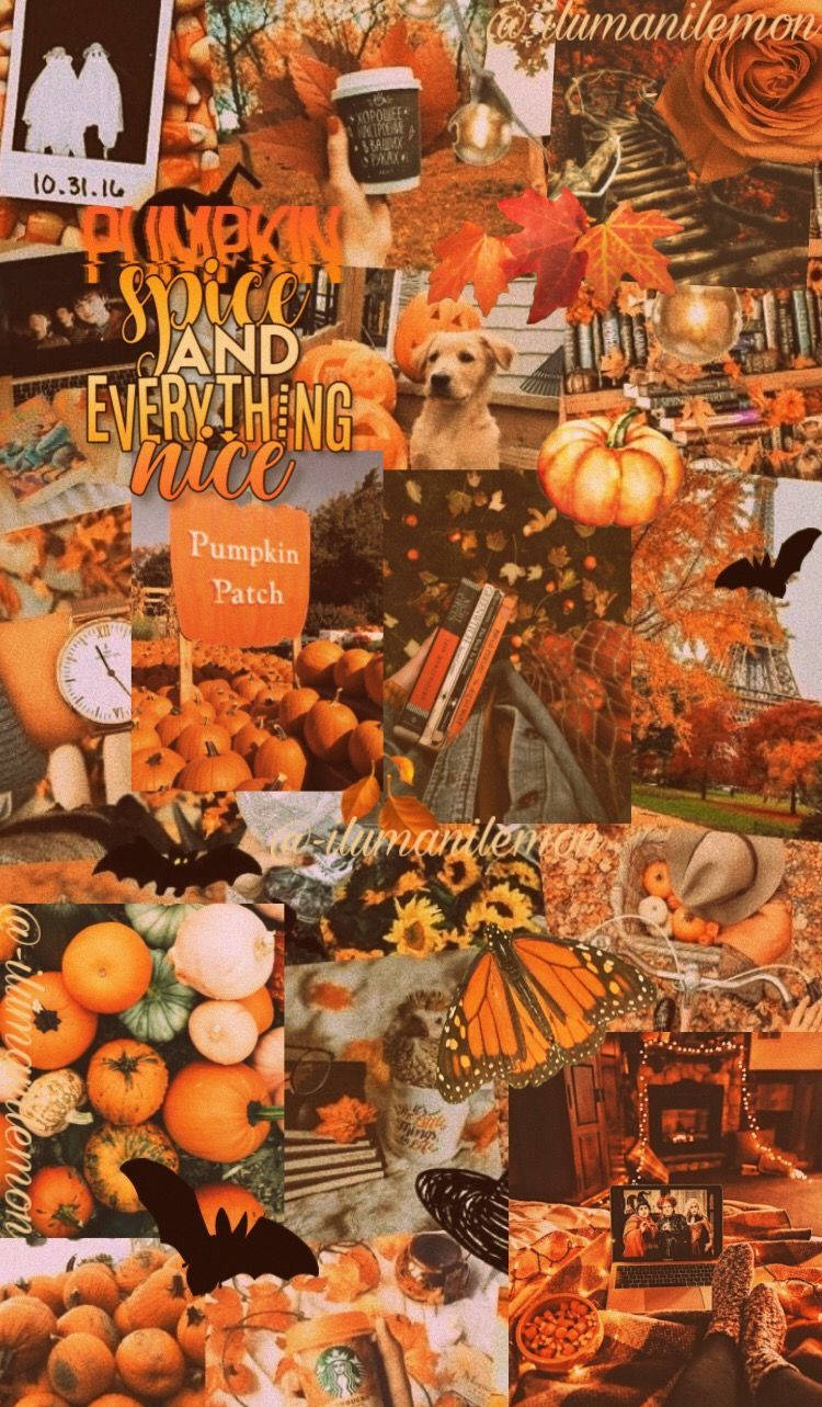 Herbstästhetischesiphone-gewürz-collage Wallpaper