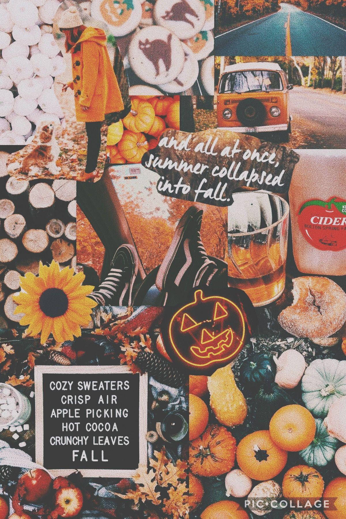 Herbstästhetik Iphone Van Menü Collage Wallpaper