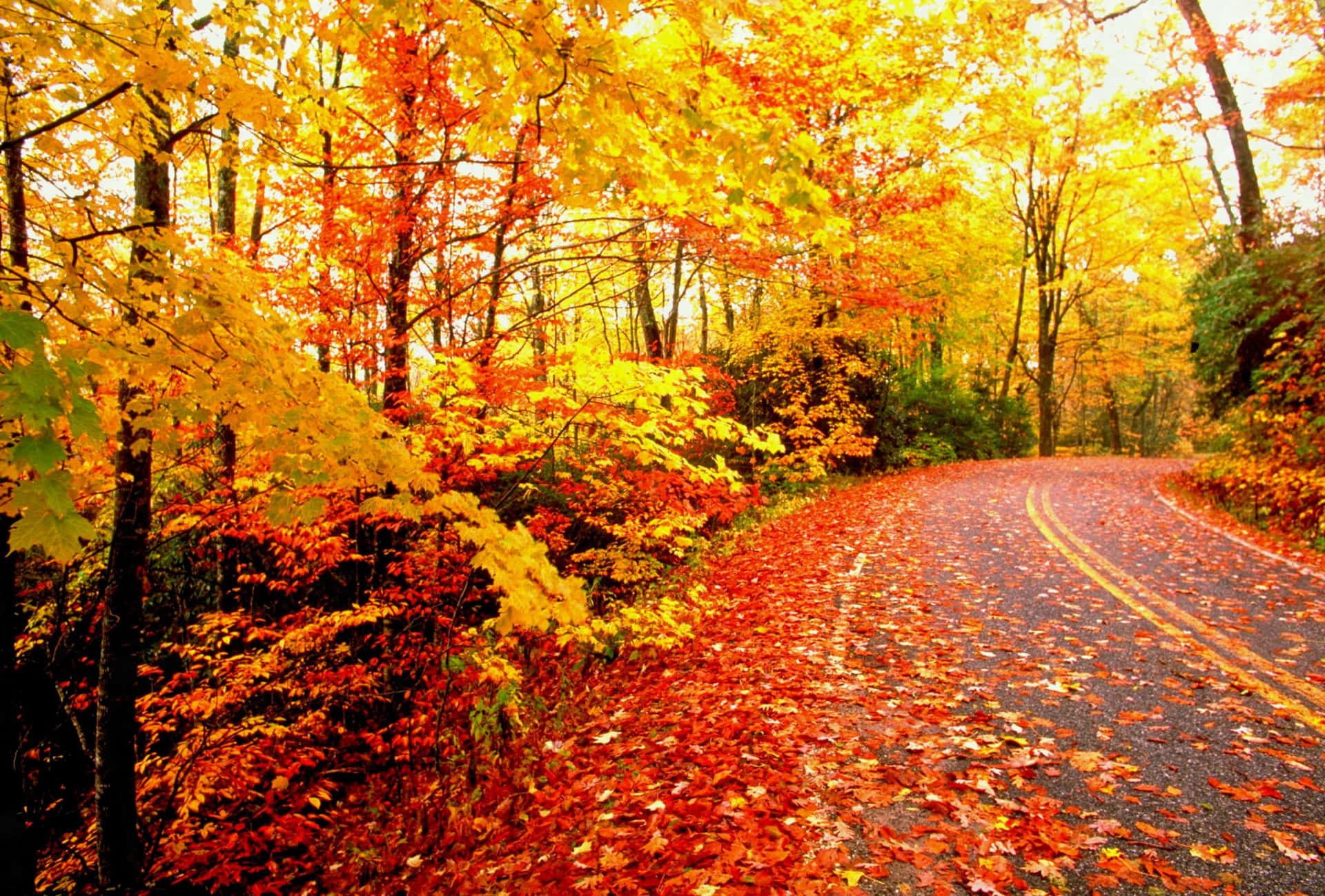 Download Embrace The New Season With This Cozy Fall Aesthetic Macbook  Wallpaper  Wallpaperscom