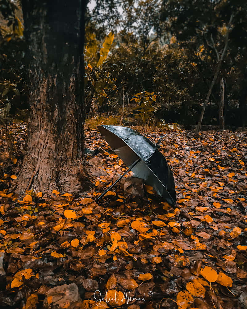 Estéticade Outono Macbook Guarda-chuva Papel de Parede