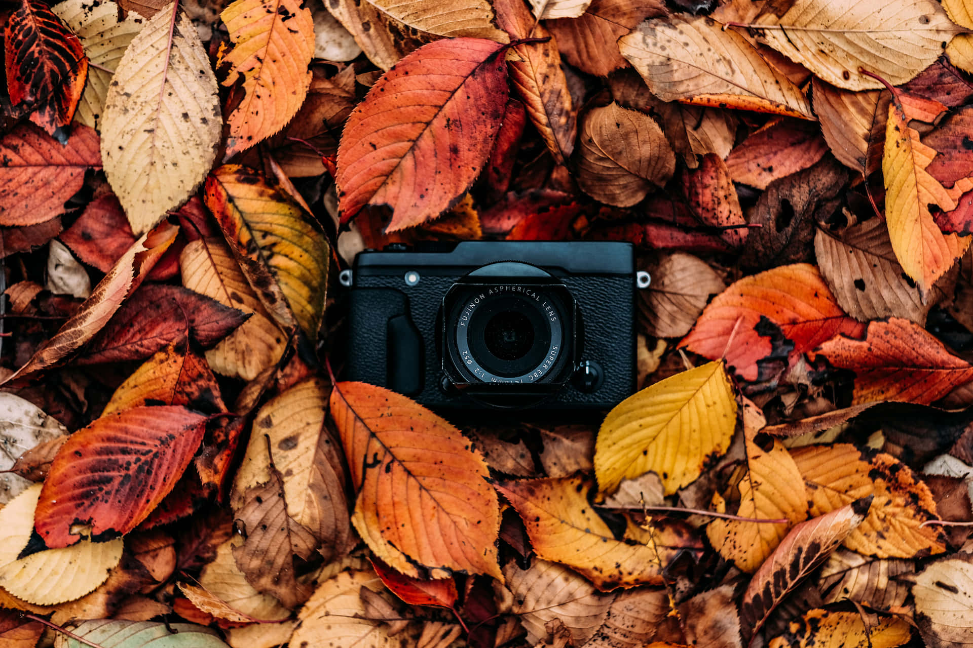Fall Aesthetic Macbook Leaves And Camera Wallpaper