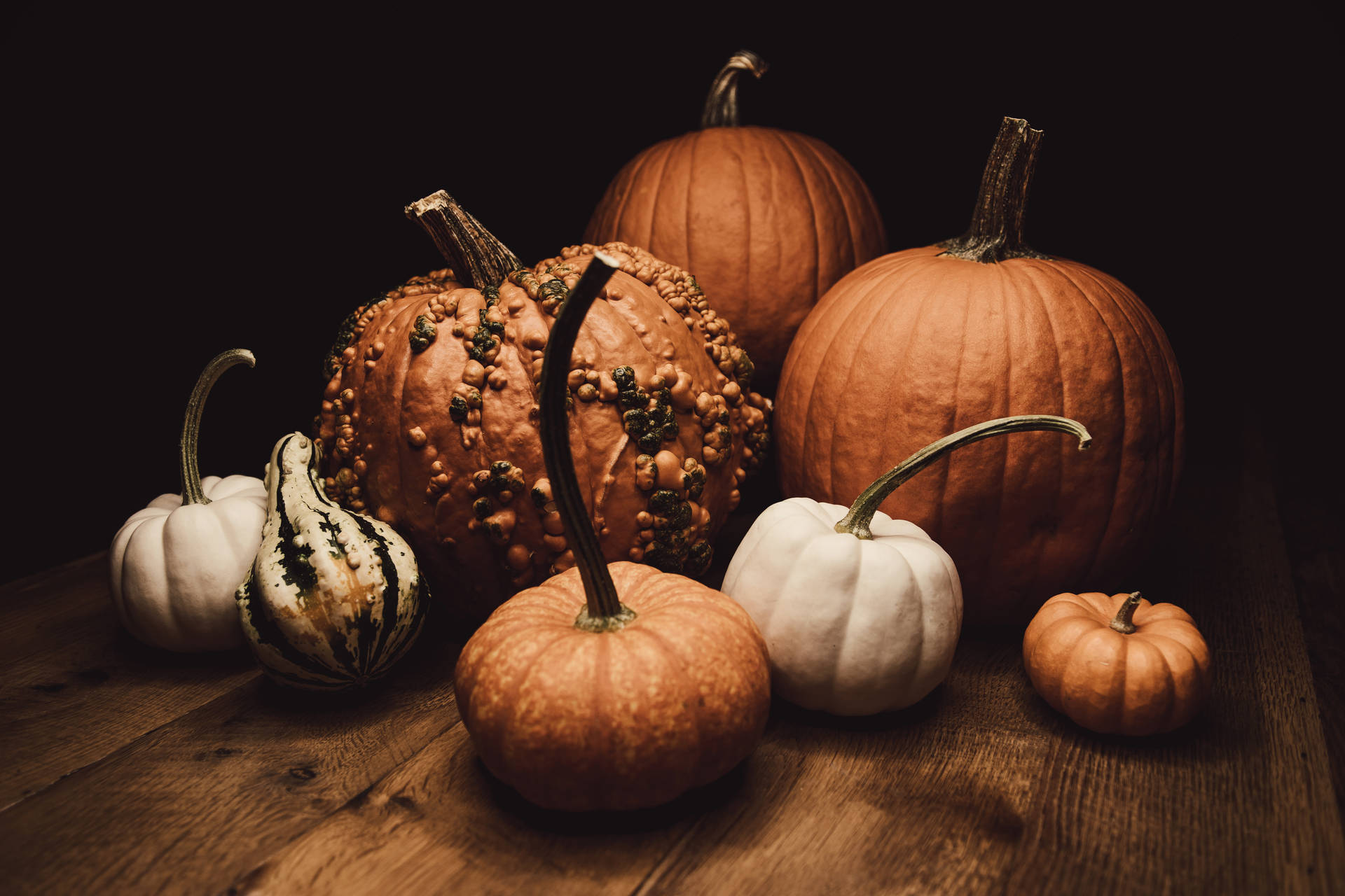 Fall Aesthetic October Pumpkins
