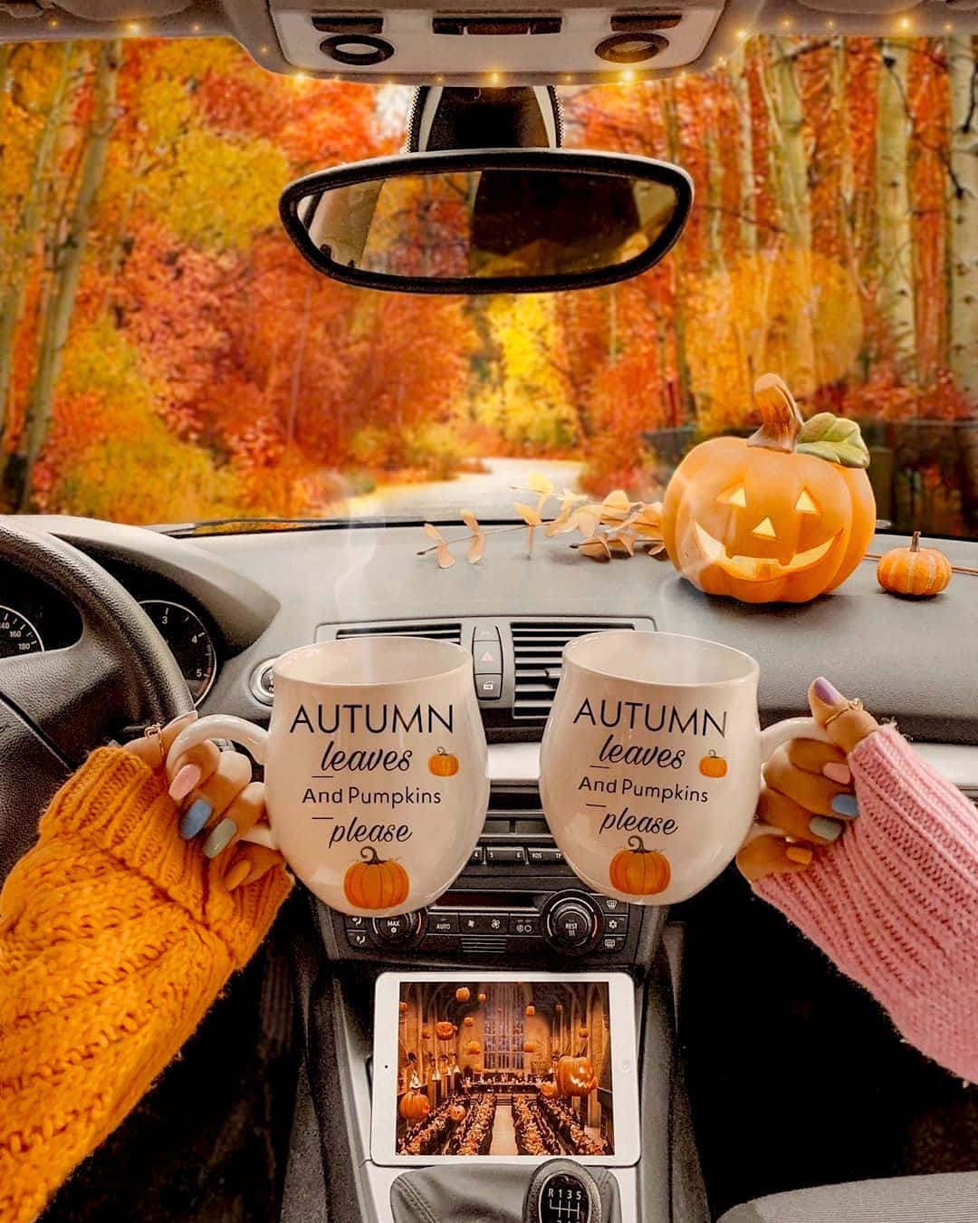 Two People Holding Pumpkin Mugs In The Car