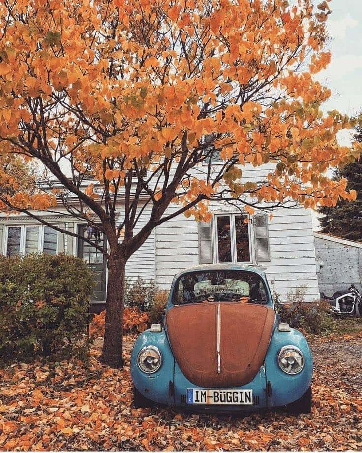 A Blue Vw Beetle Parked In Front Of A House With Leaves