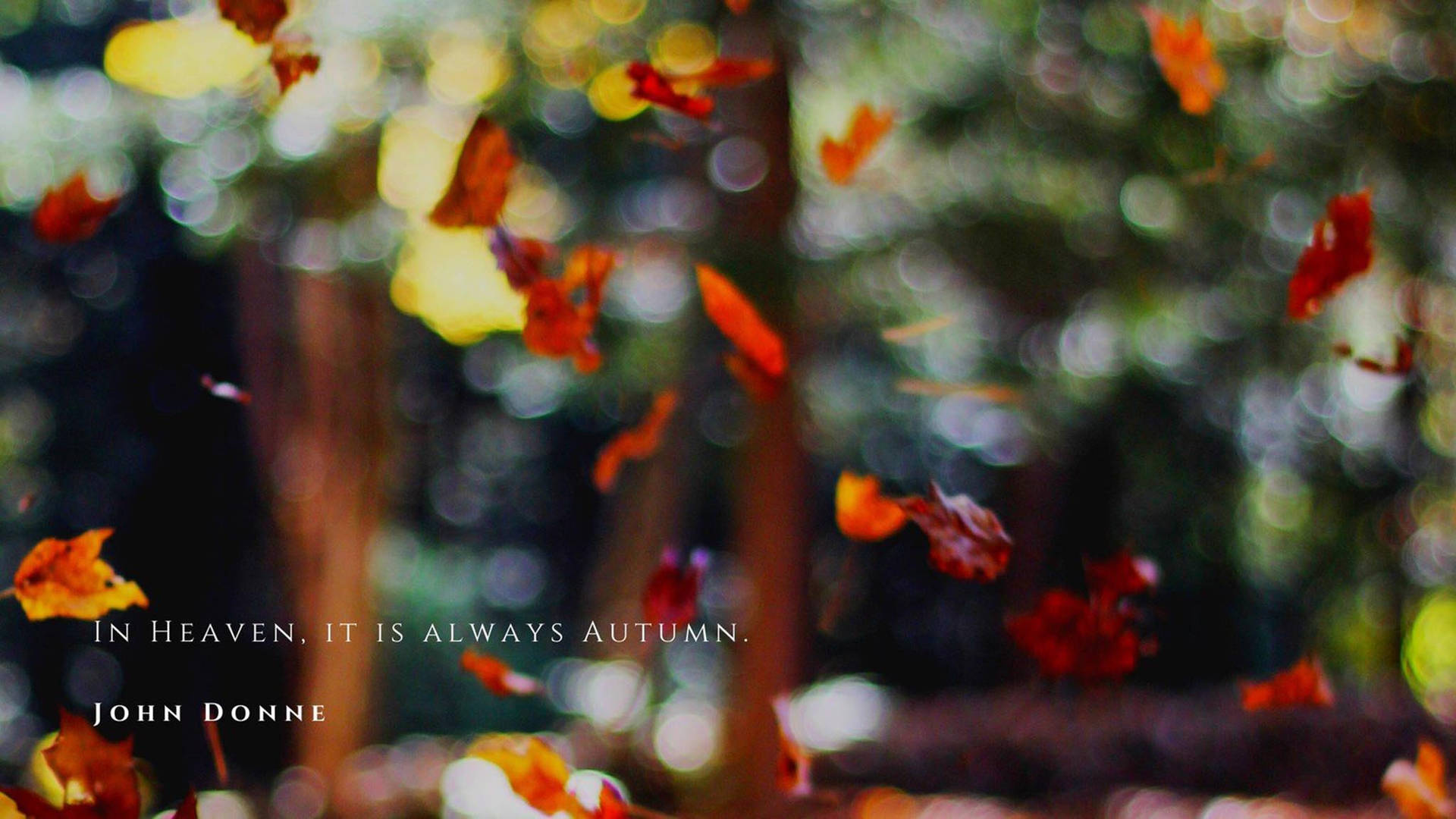 Fall Aesthetic Quote Wallpaper