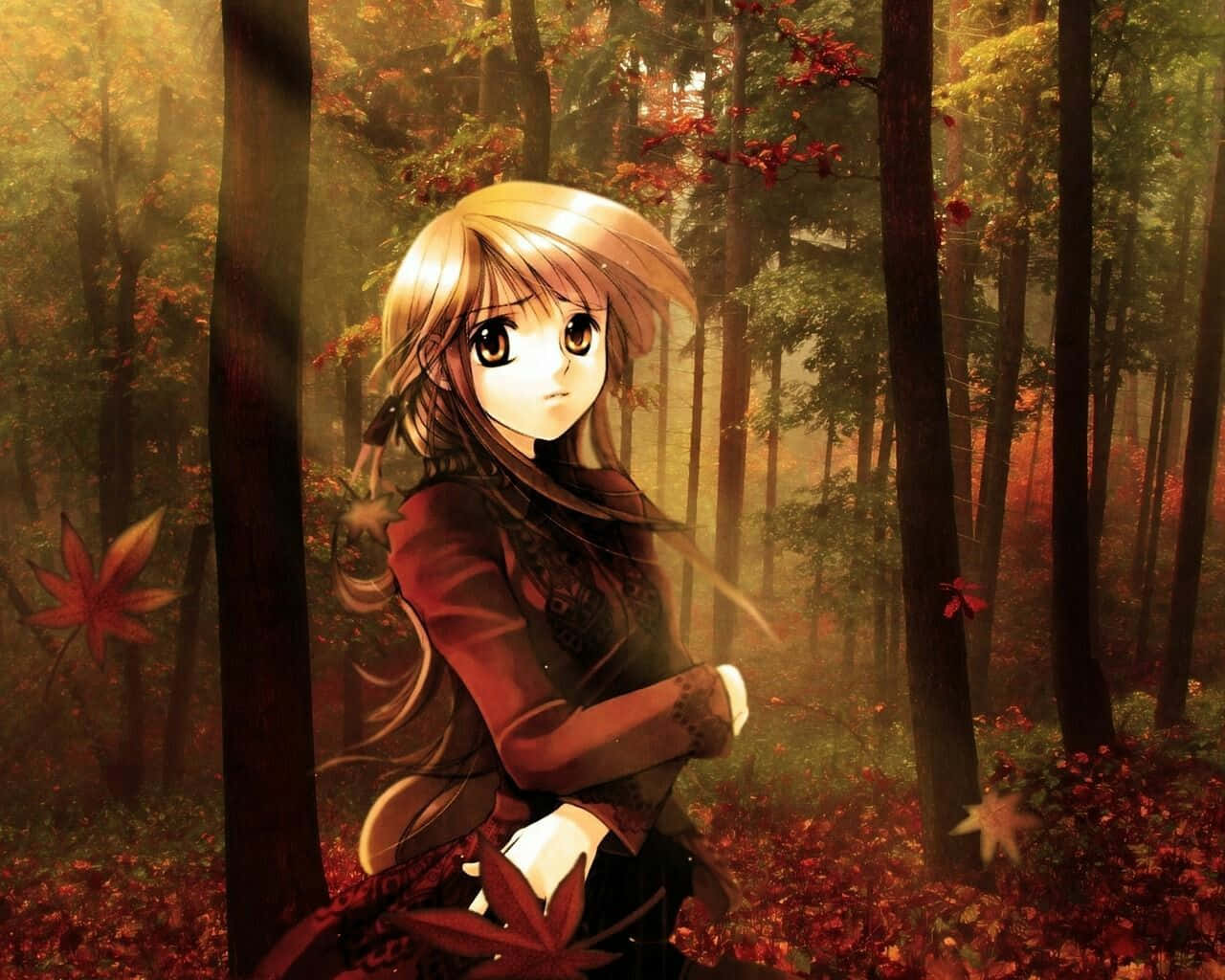 Download Fall Anime Girl In Dark Forest Wallpaper 