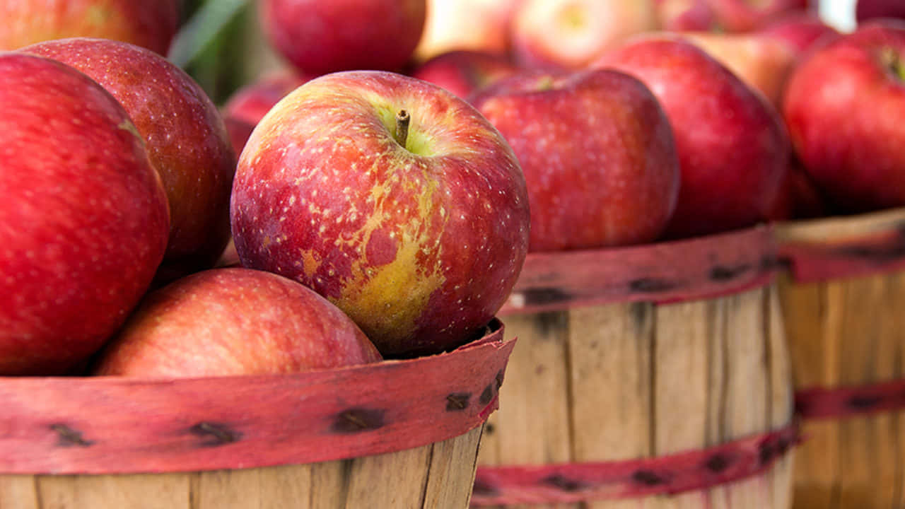 A bountiful harvest of fresh fall apples in vivid colors Wallpaper
