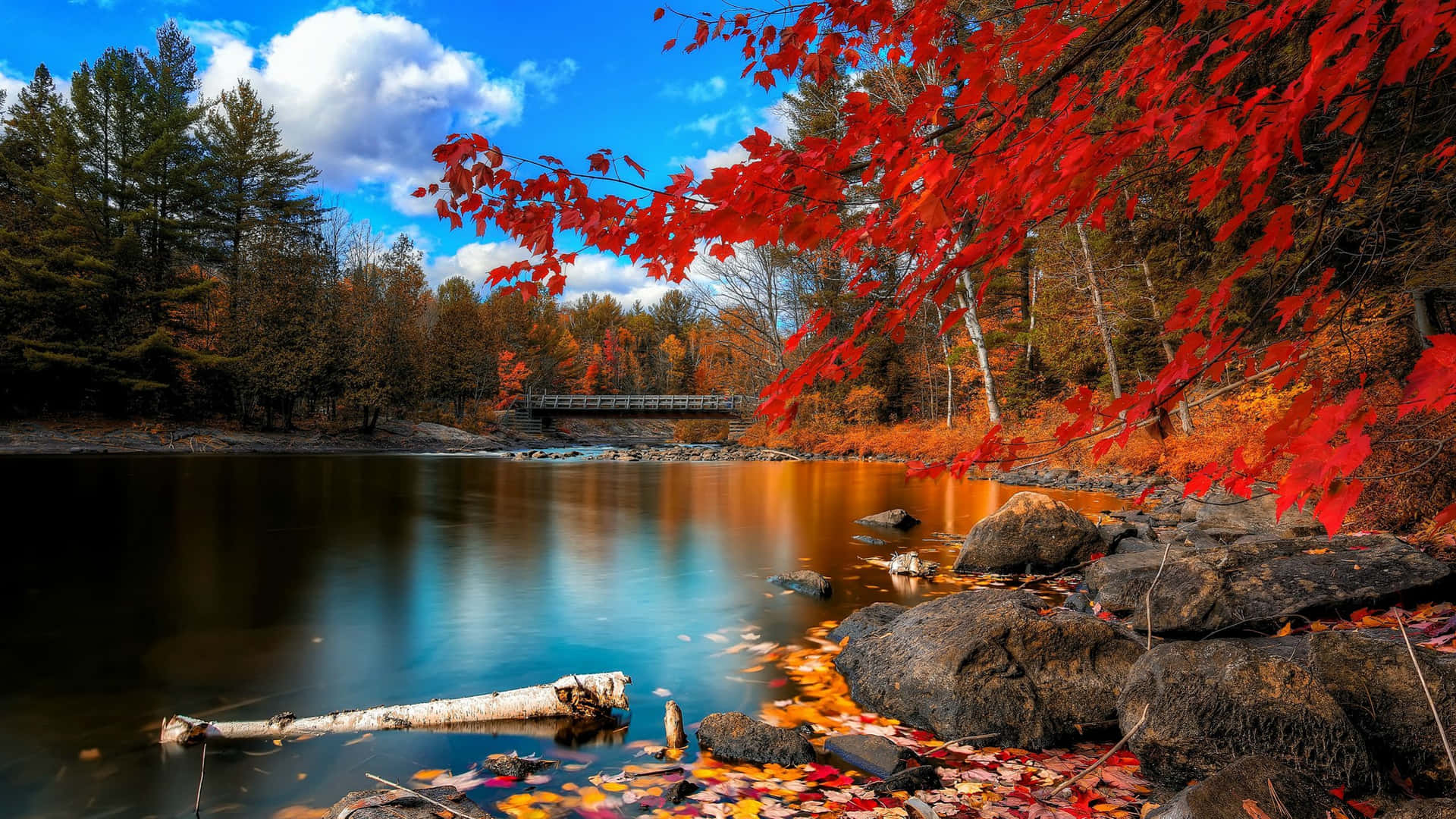 "Enjoy the Beauty of Fall with this Stunning Desktop Background" Wallpaper