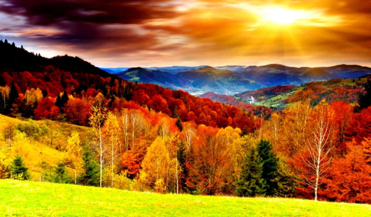 Sloping Hills Fall Autumn Desktop Wallpaper