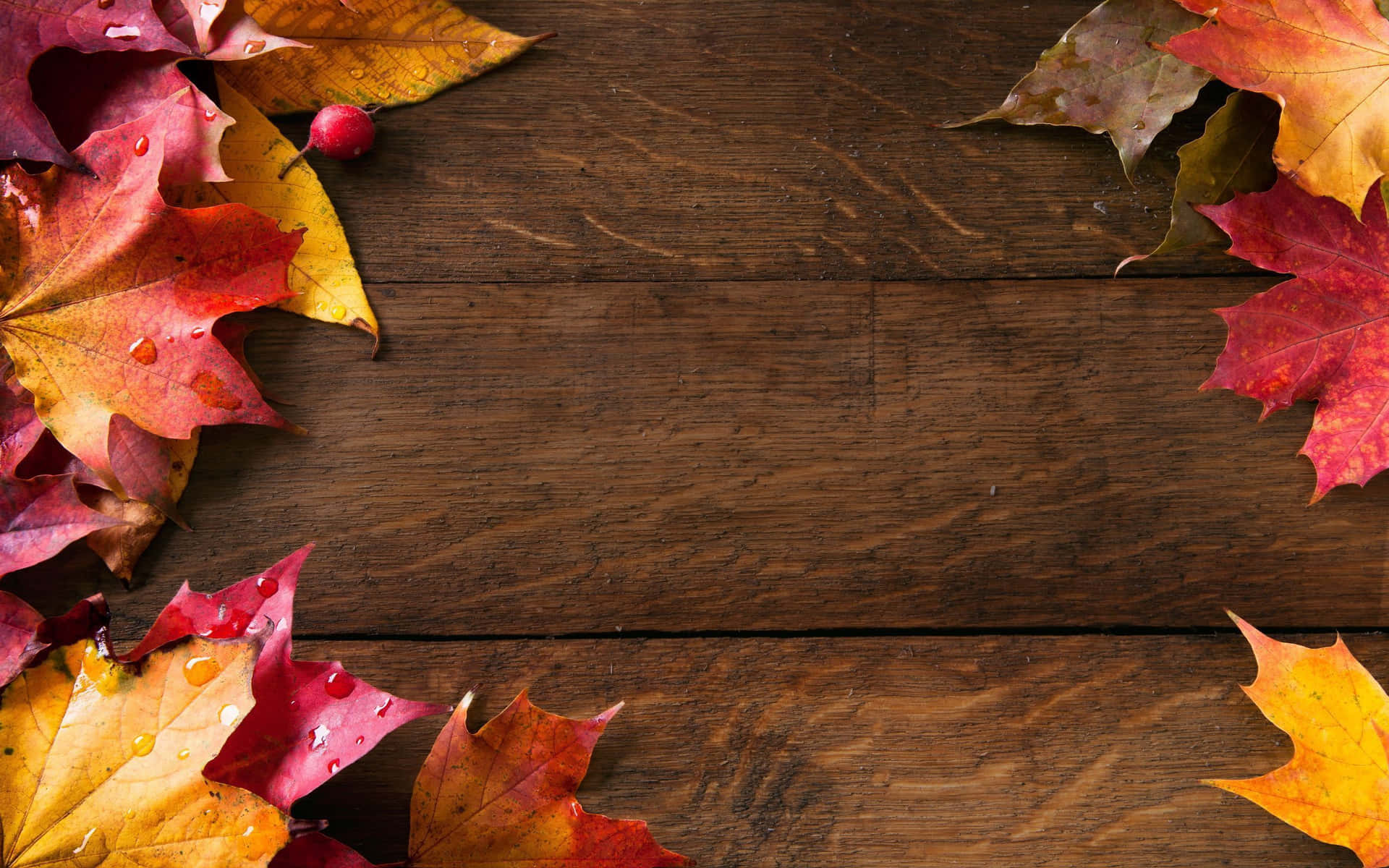 Dark Wood Deck With Maple Leaves Fall Autumn Desktop Wallpaper