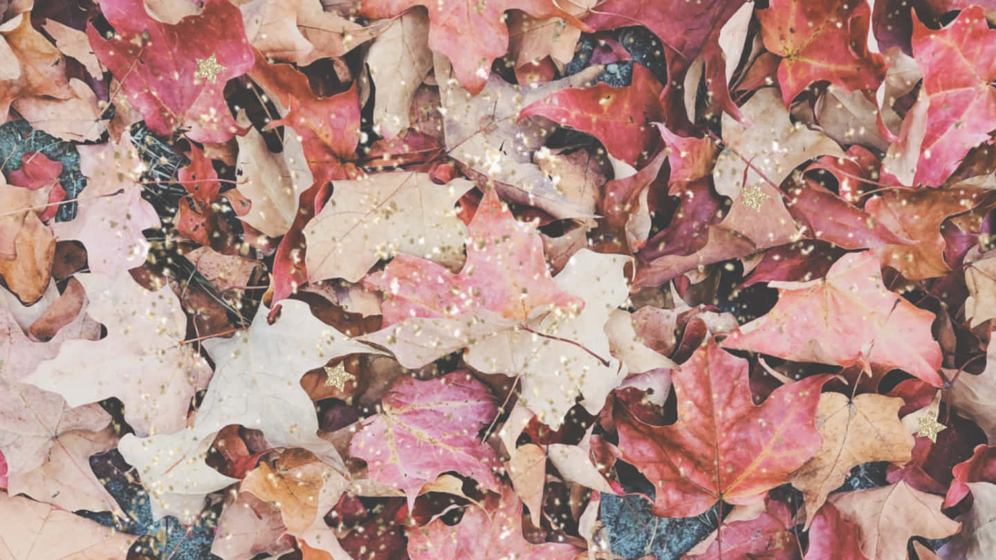Herbstlichesahornlaub Fällt Auf Den Desktop Im Herbst Wallpaper