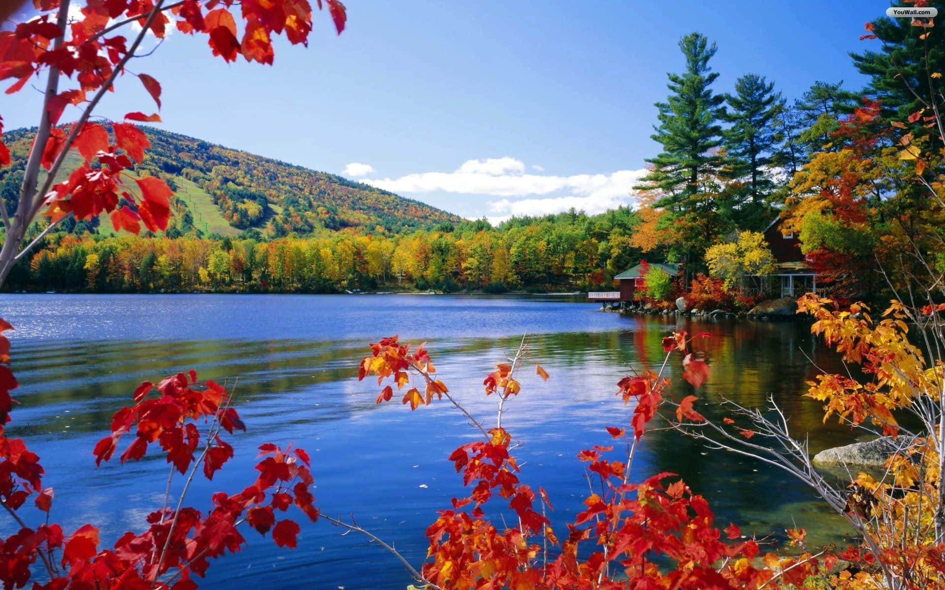 Enjoy the Colors of Fall Wallpaper
