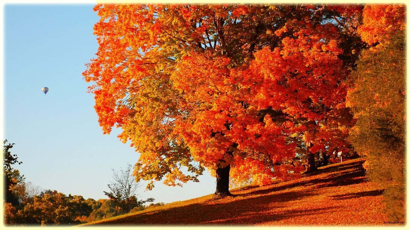 Heißluftballonherbst Herbst Hintergrundbild Wallpaper