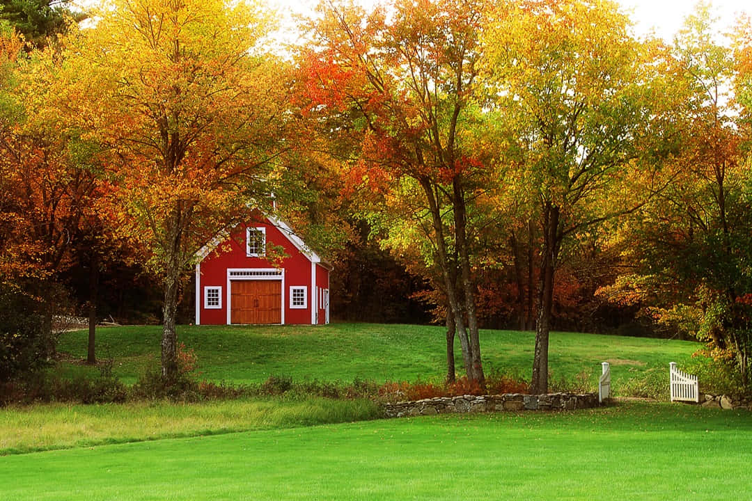 Fall Barn Surrounded by Colorful Foliage Wallpaper