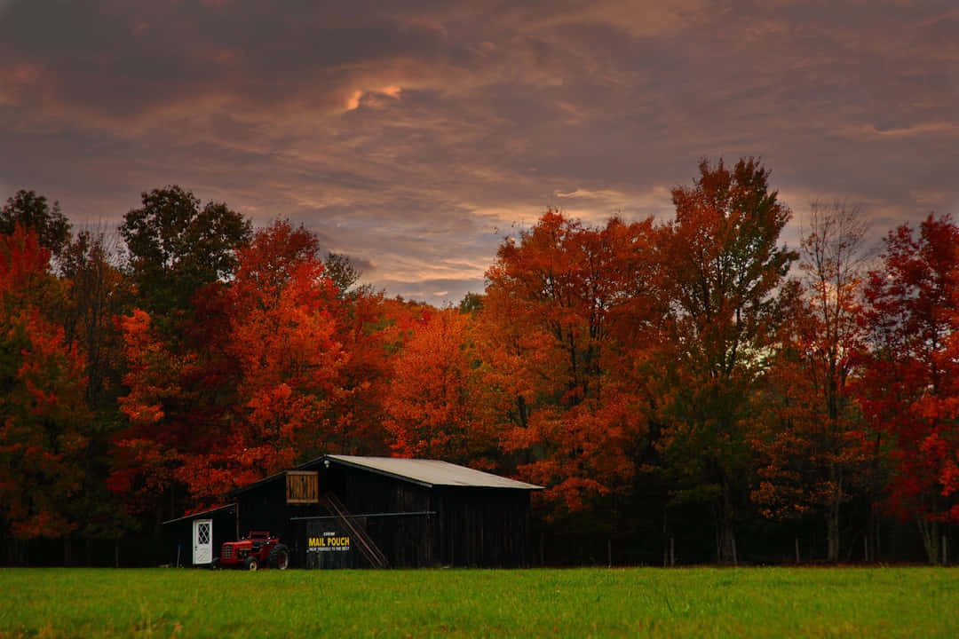 A beautiful Fall Barn surrounded by vibrant autumn foliage Wallpaper