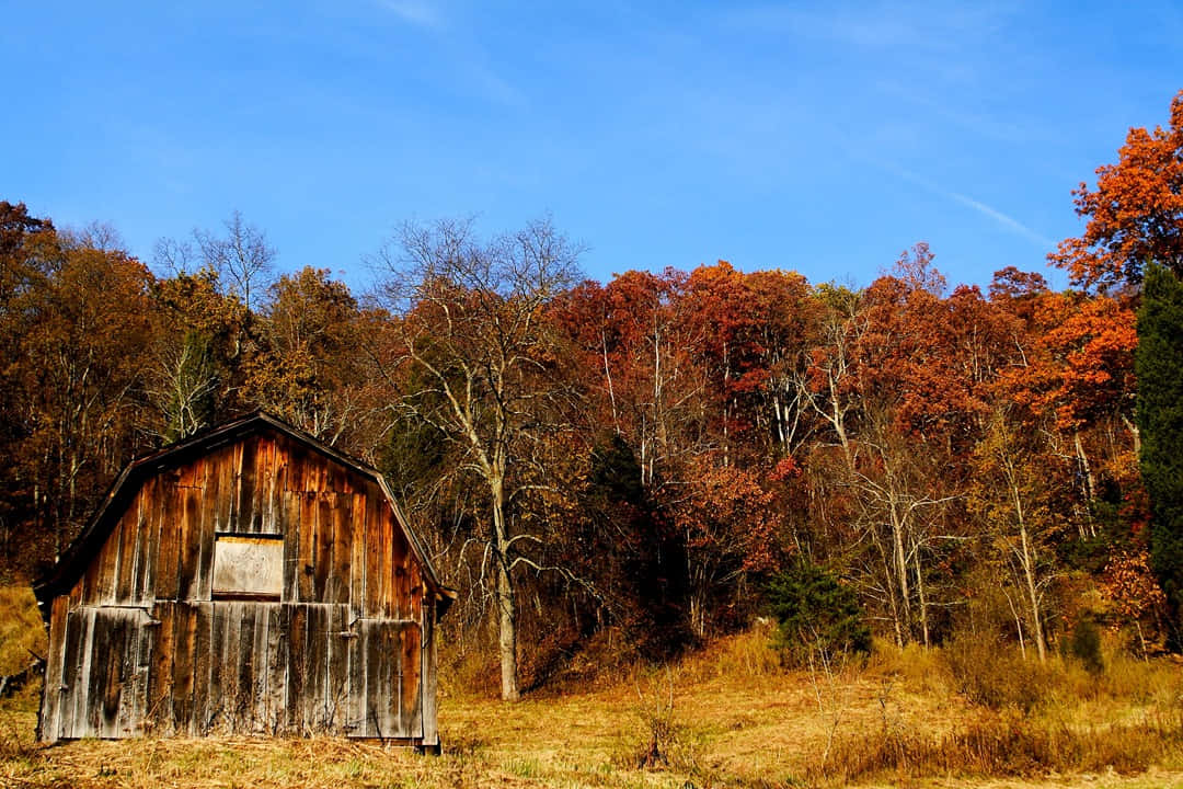 A Beautiful Fall Barn Surrounded by Autumn Foliage Wallpaper