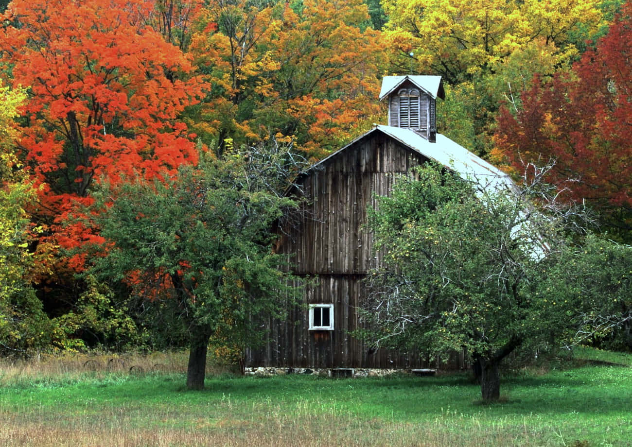 Fall Barn amidst a Colorful Landscape Wallpaper
