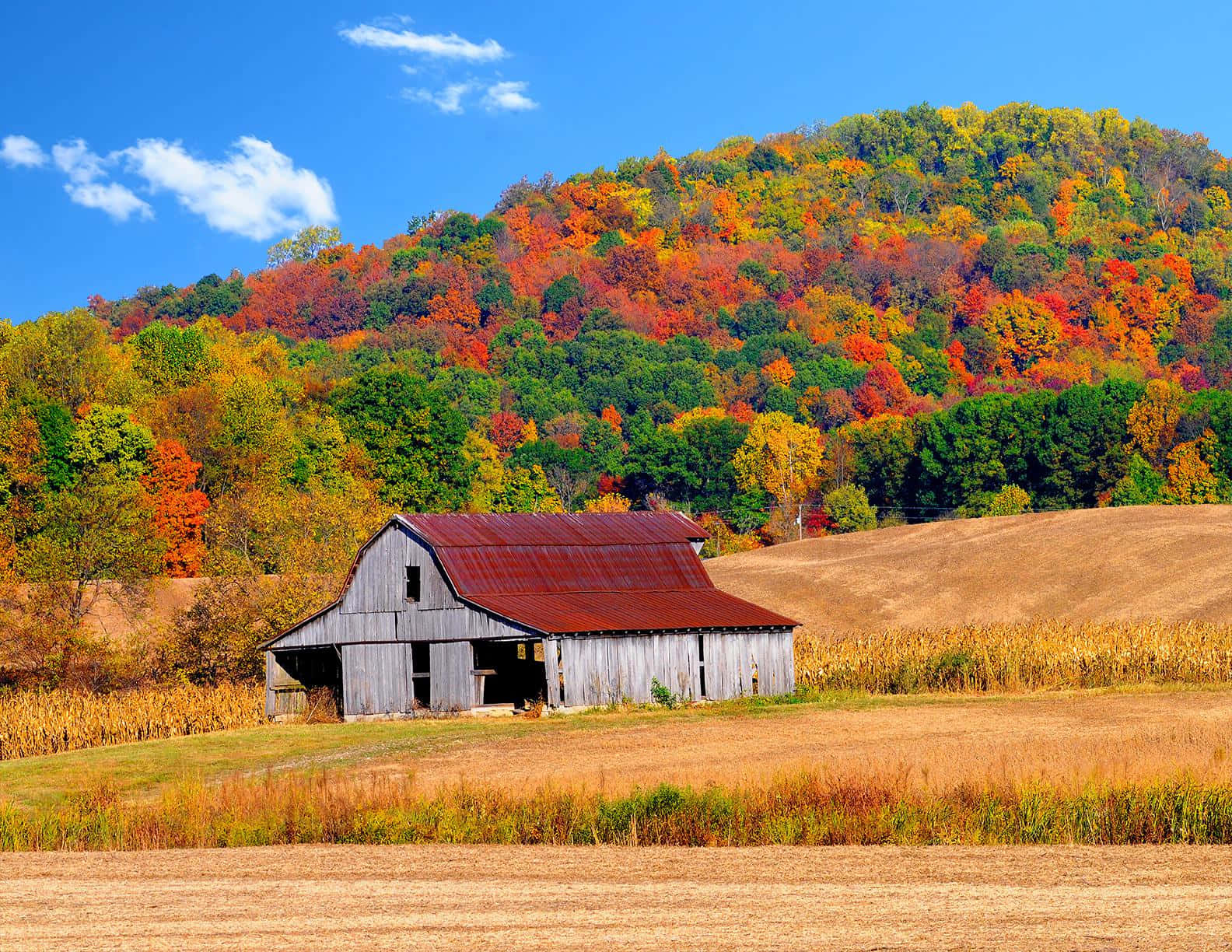 Fall Barn Amidst Autumn Landscape Wallpaper