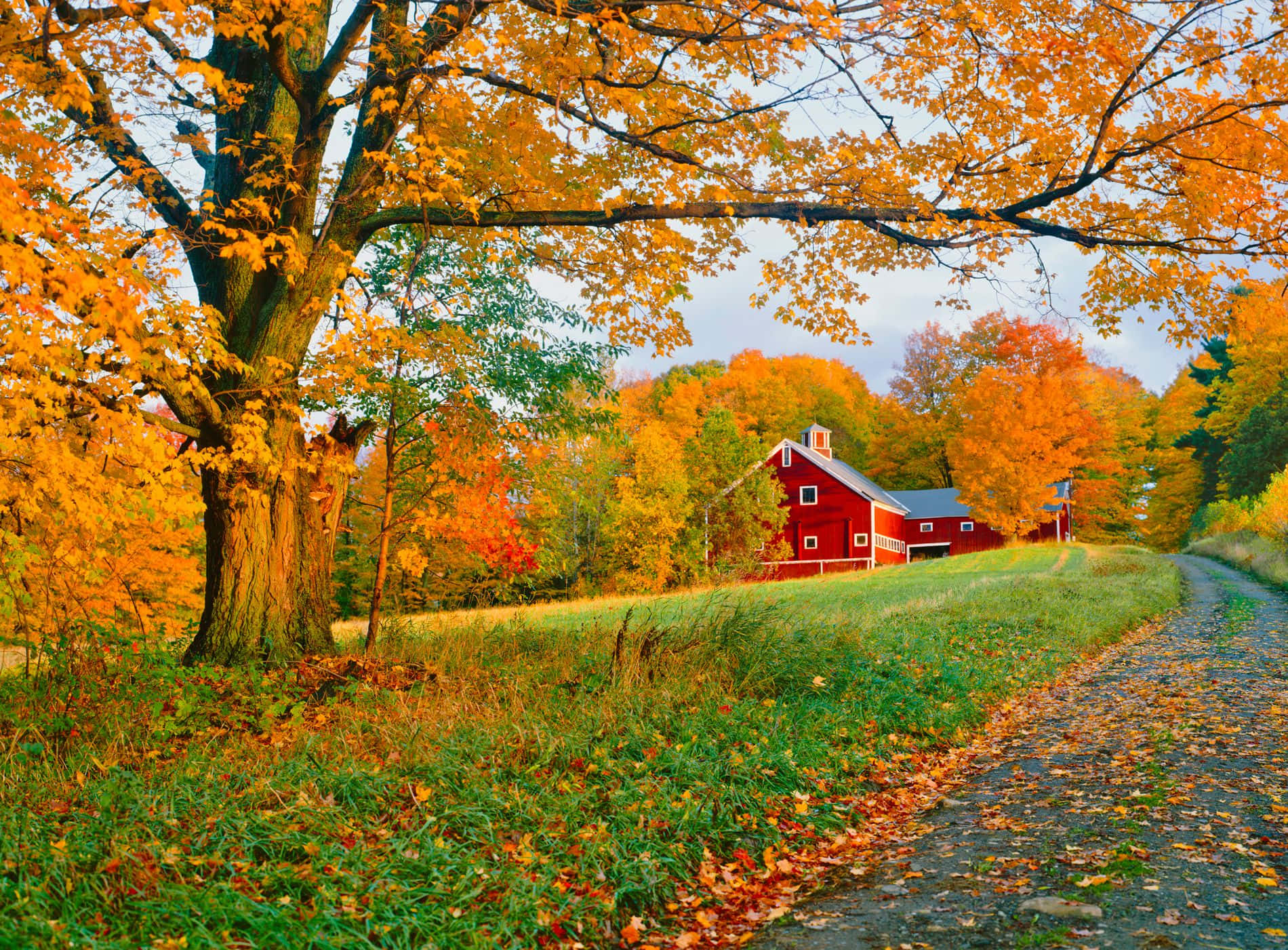 Fall Barn - A picturesque countryside scene with a rustic barn surrounded by vibrant autumn colors Wallpaper