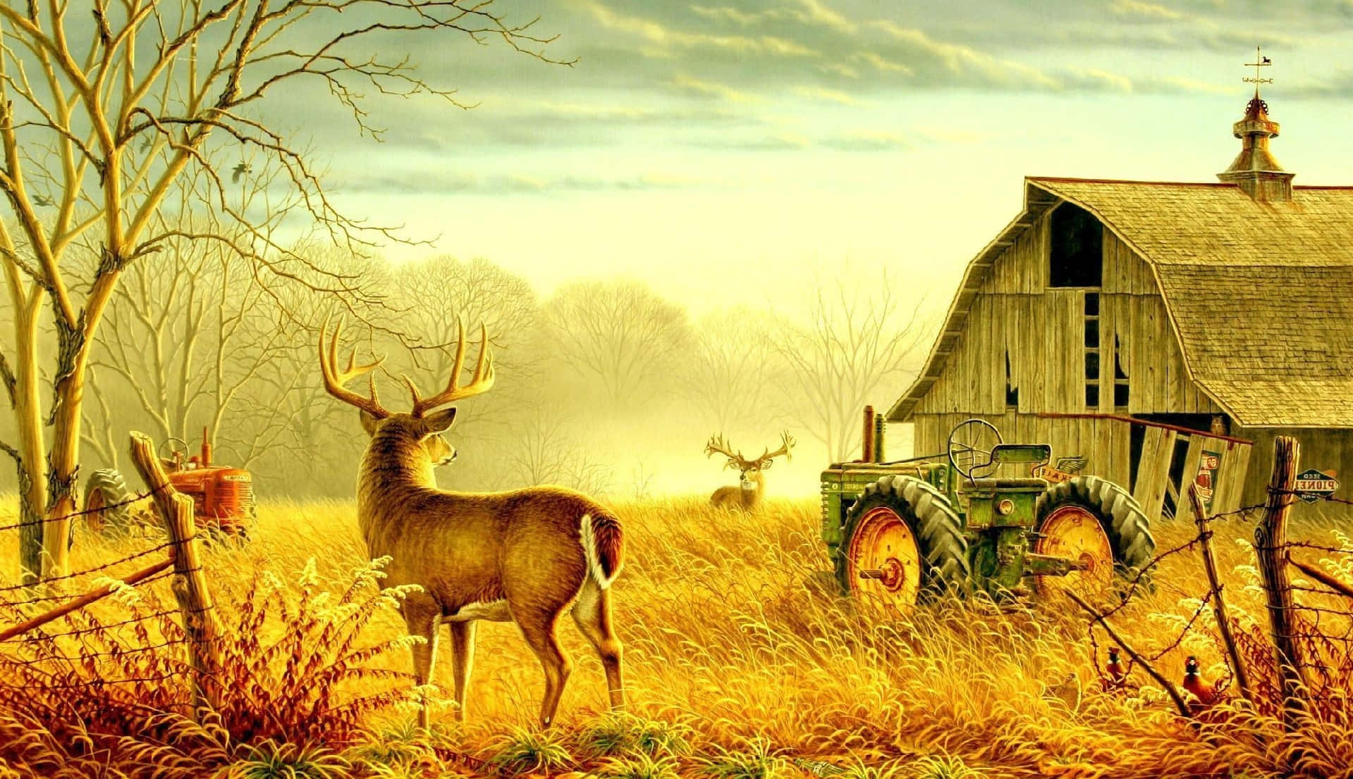 Fall Barn surrounded by vibrant autumn foliage Wallpaper