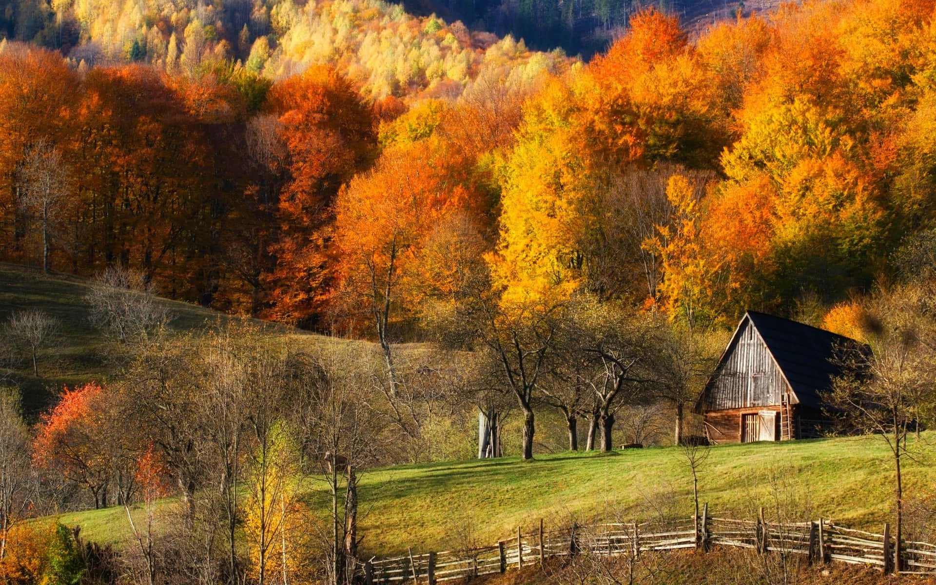 Picturesque Fall Barn amidst Vibrant Autumn Foliage Wallpaper