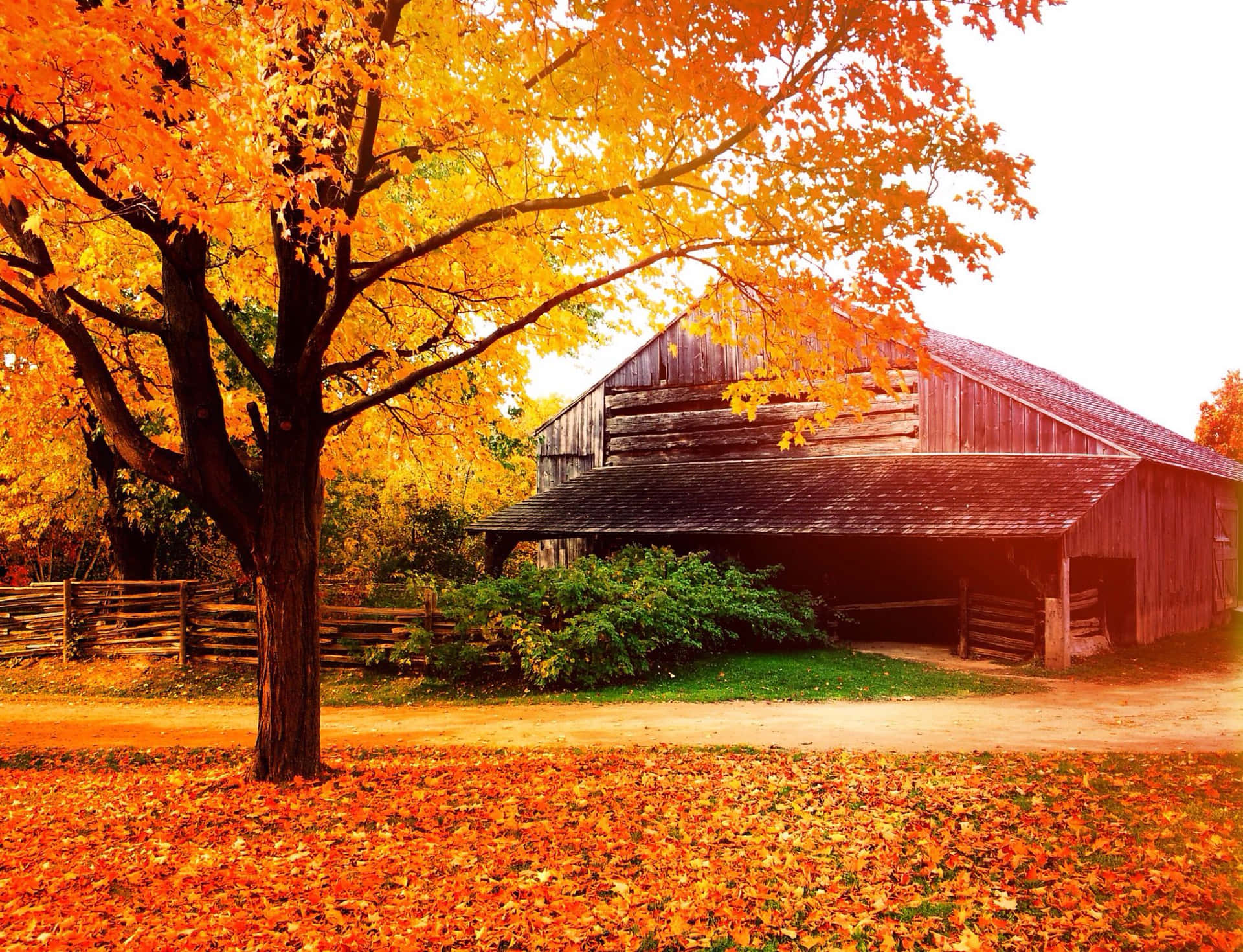 Fall Harvest at a Picturesque Barn Wallpaper