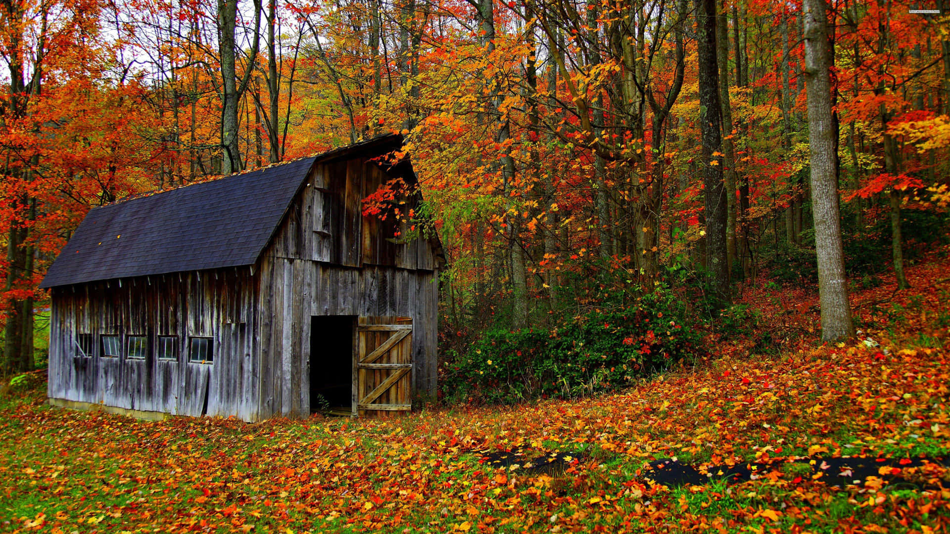 Rustic Barn in Autumn Scenery Wallpaper