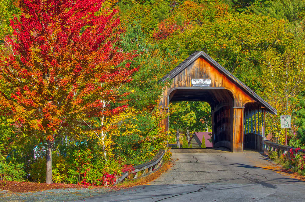 A picturesque Fall Bridge surrounded by vibrant autumn colors Wallpaper