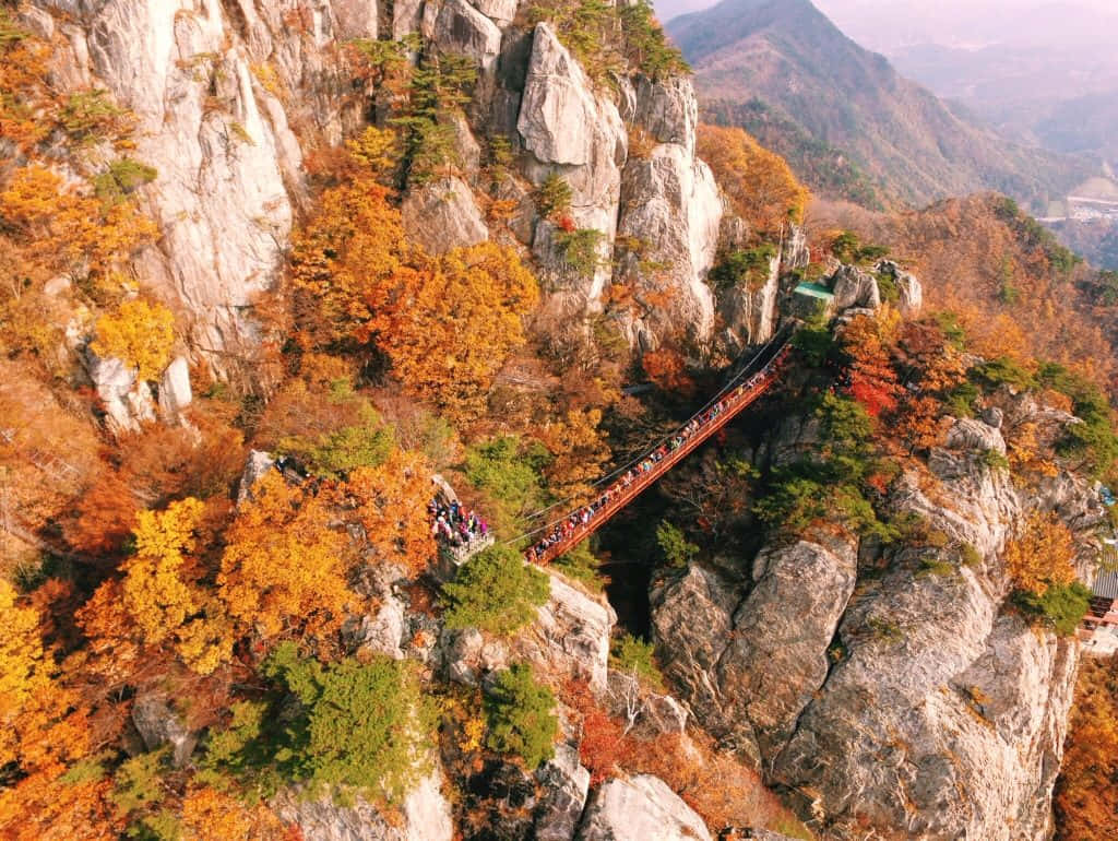 Caption: Tranquil Autumn Bridge Wallpaper
