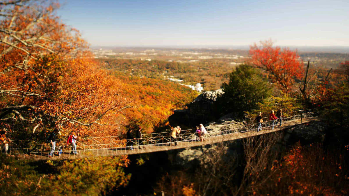Picturesque Fall Bridge in Autumn Forest Wallpaper