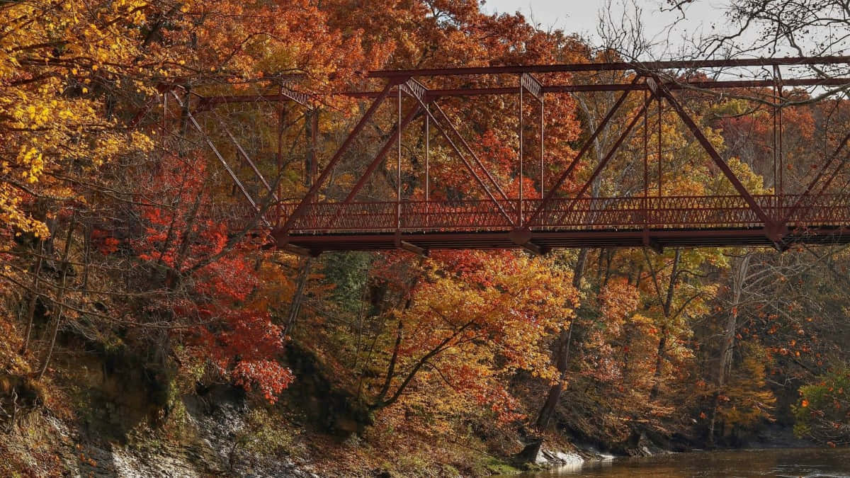 Majestic Fall Bridge Amidst Autumn Splendor Wallpaper