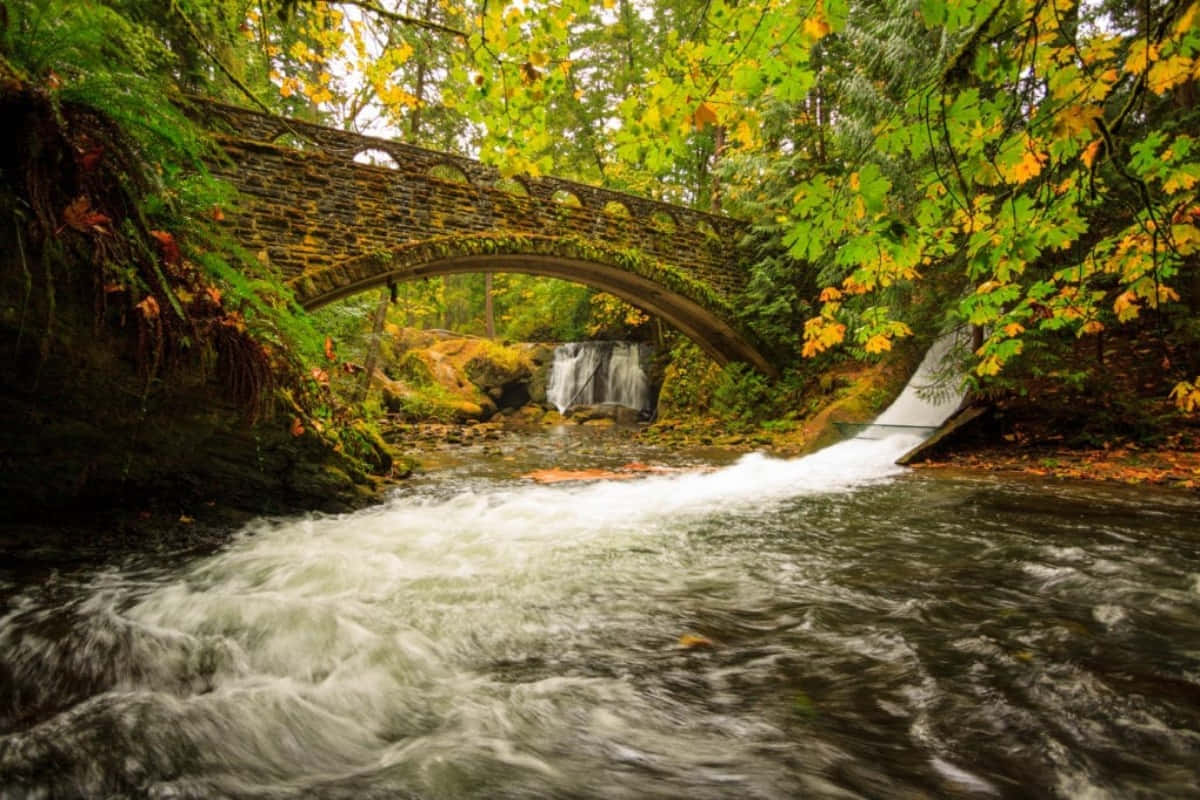Fall Bridge in a Picturesque Landscape Wallpaper