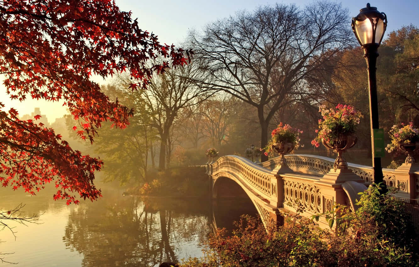 Stunning Fall Bridge Surrounded by Autumn Foliage Wallpaper