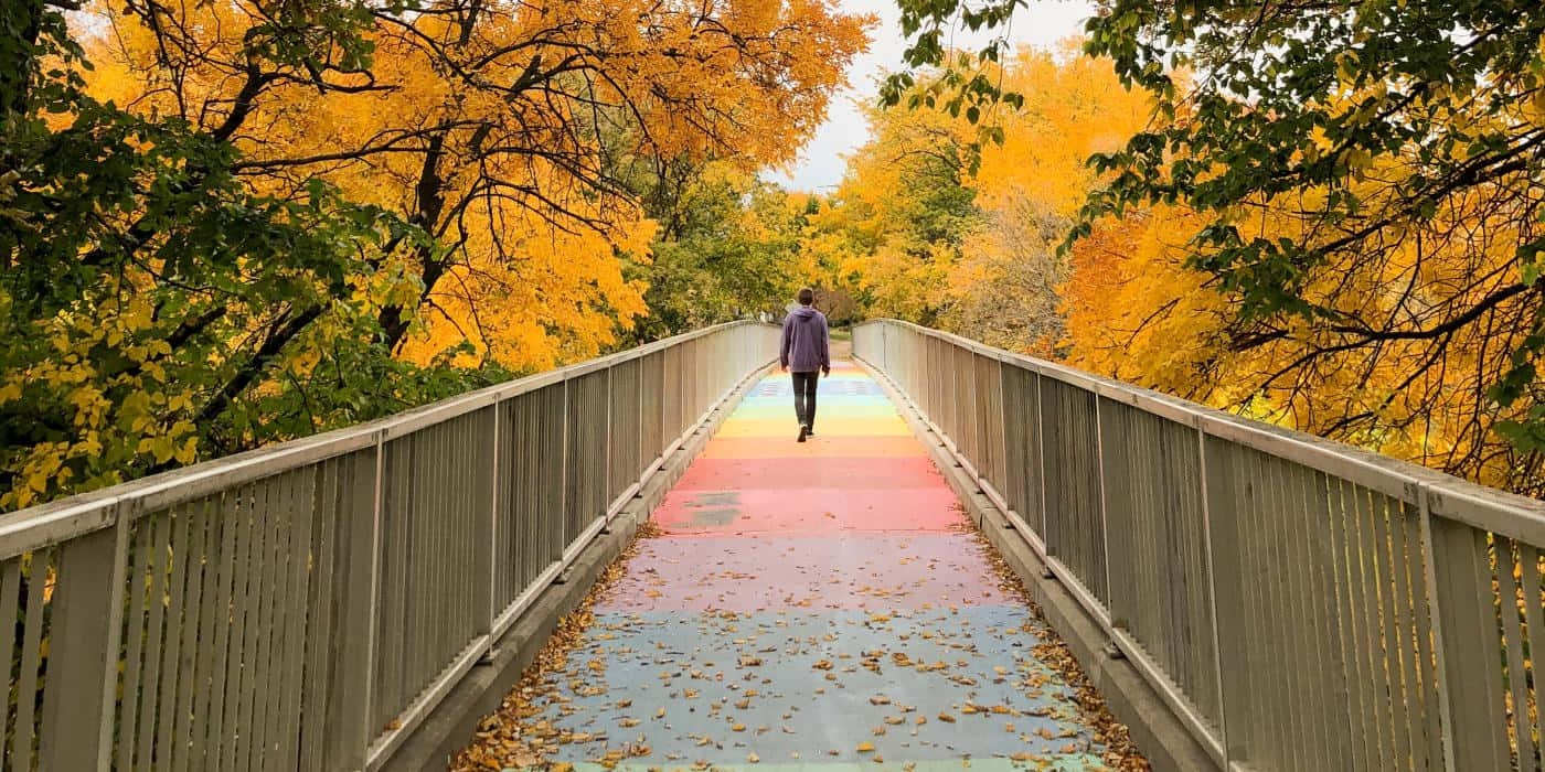 Fall Bridge in a Serene Nature Setting Wallpaper