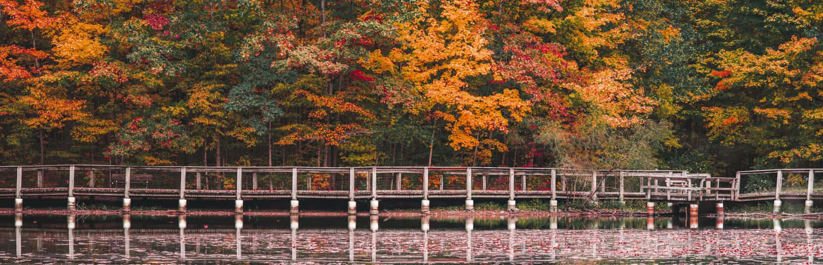 Fall Bridge - The Essence of Autumn Wallpaper