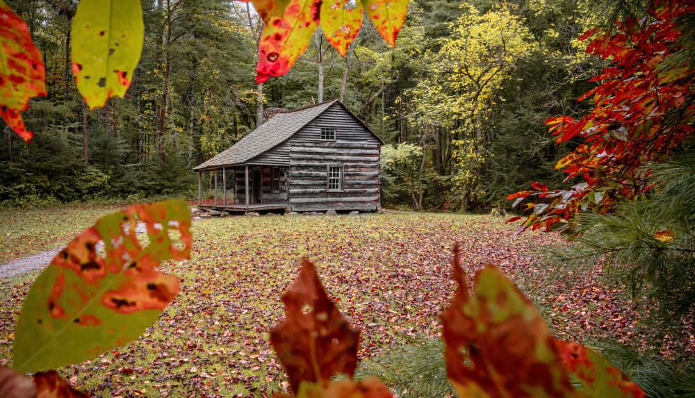 Fall Cabin - A Cozy Retreat Amidst Vibrant Autumn Colors Wallpaper