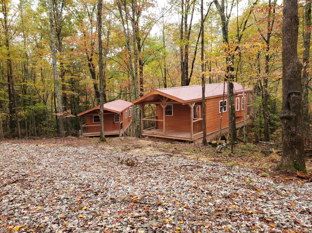 Cozy Fall Cabin in the Woods Wallpaper