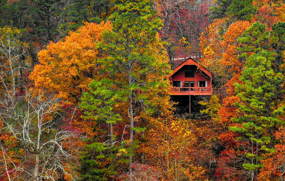 Cozy Fall Cabin Nestled in a Picturesque Autumn Forest Wallpaper