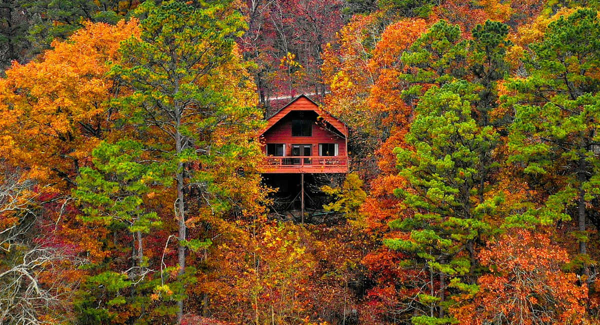 Cozy Fall Cabin Surrounded by Autumn Foliage Wallpaper