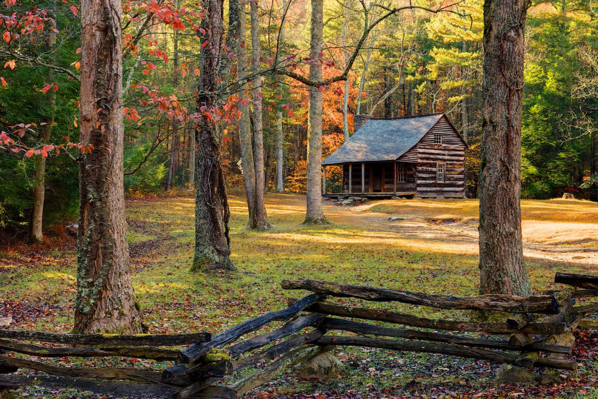 Tranquil Fall Cabin Nestled in the Woods Wallpaper