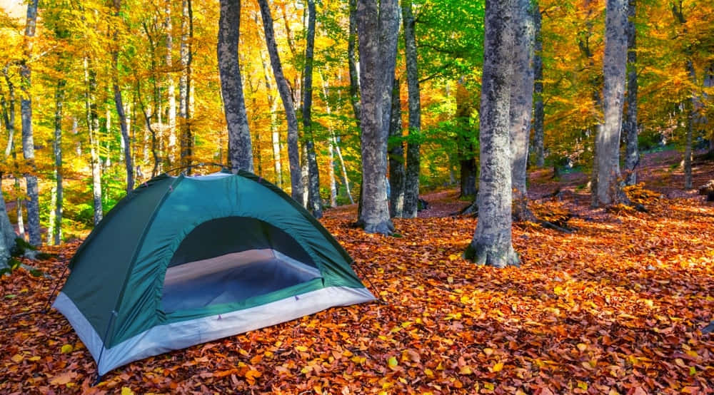 Revel in the Autumn Glow: Fall Camping Adventure Wallpaper