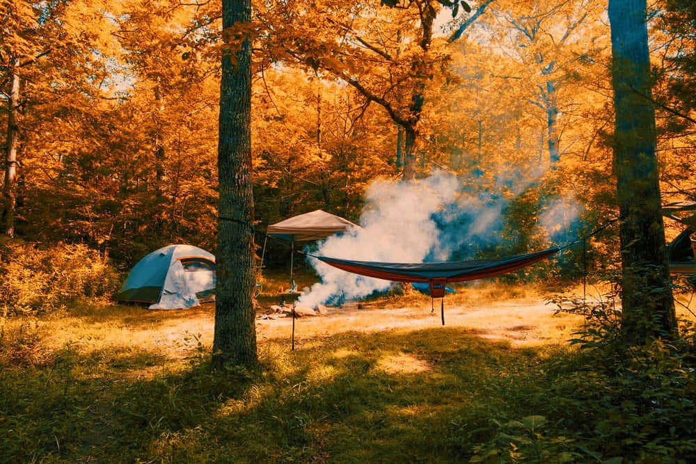 Cozy Fall Camping Adventure Wallpaper