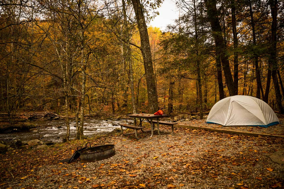 Cozy Fall Camping in the Woods Wallpaper