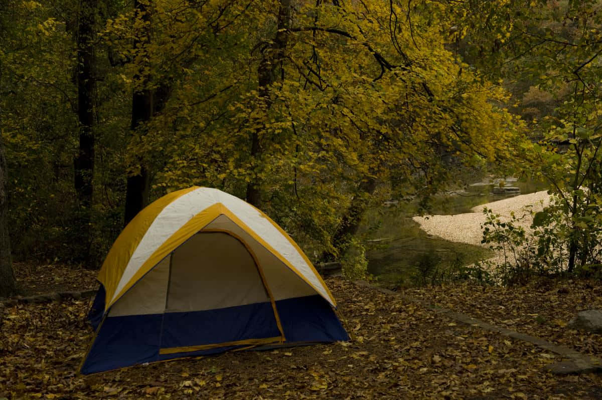 Embracing Autumn's Charm: Fall Camping Wallpaper