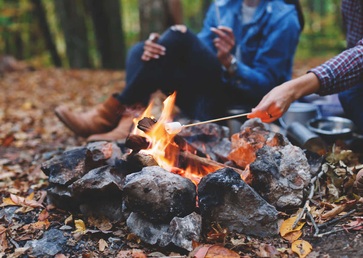 Cozy Fall Camping in the Woods Wallpaper