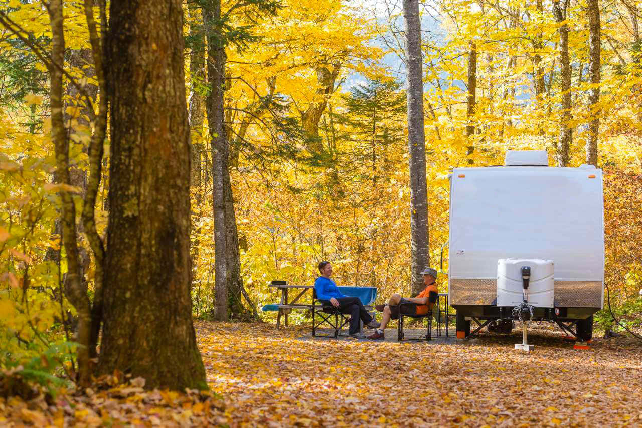 Mesmerizing Fall Camping Scene under a Vibrant Tree Canopy Wallpaper