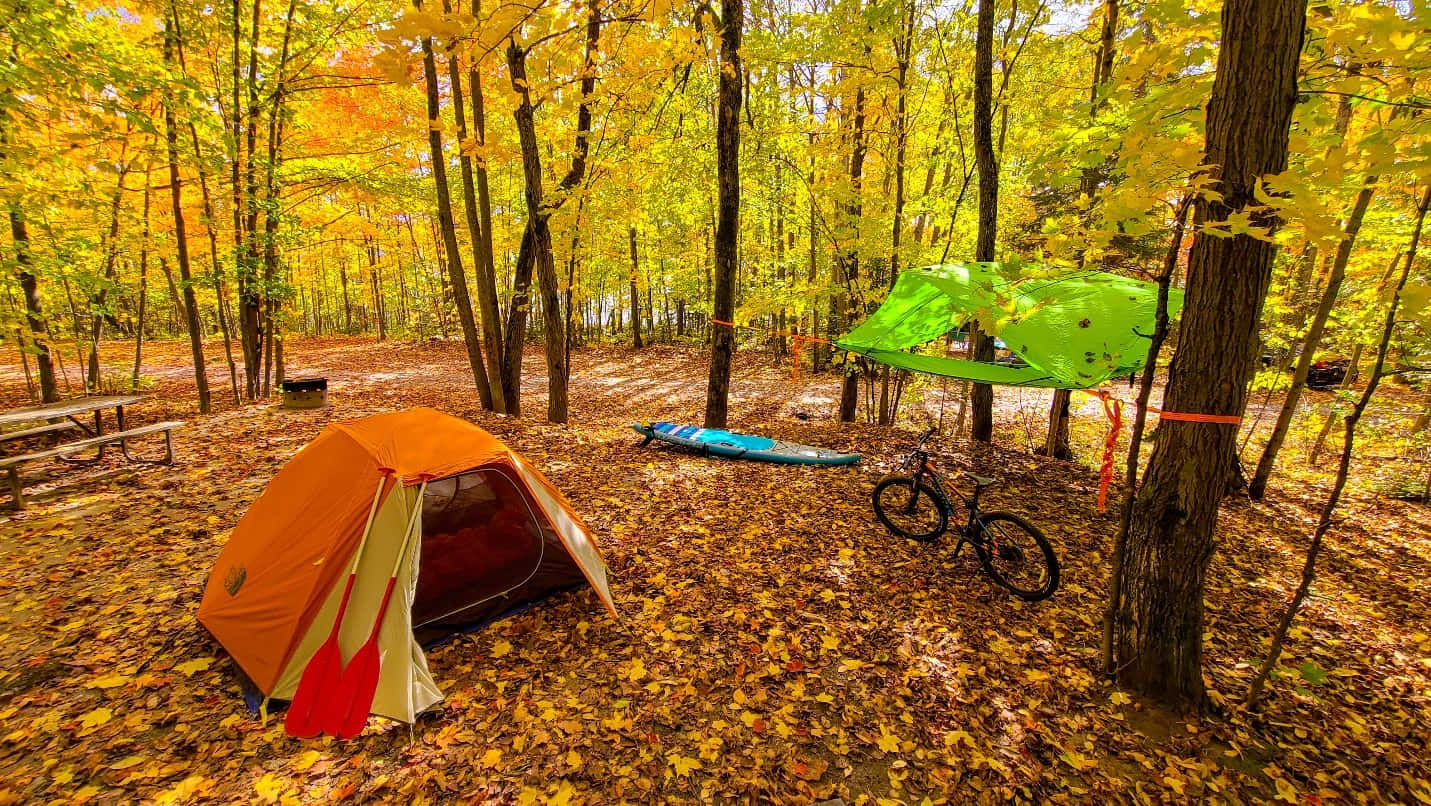 Cozy Fall Camping Experience Wallpaper