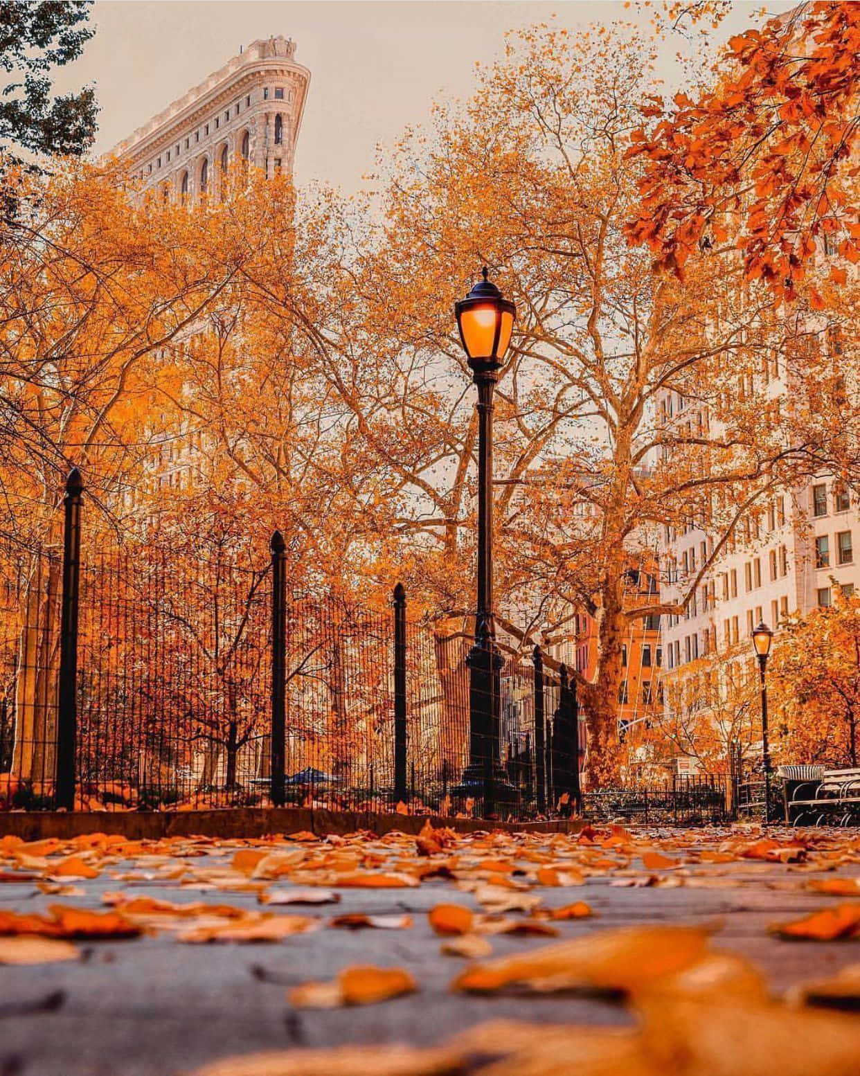 Scenic Fall City Landscape with Colorful Foliage Wallpaper