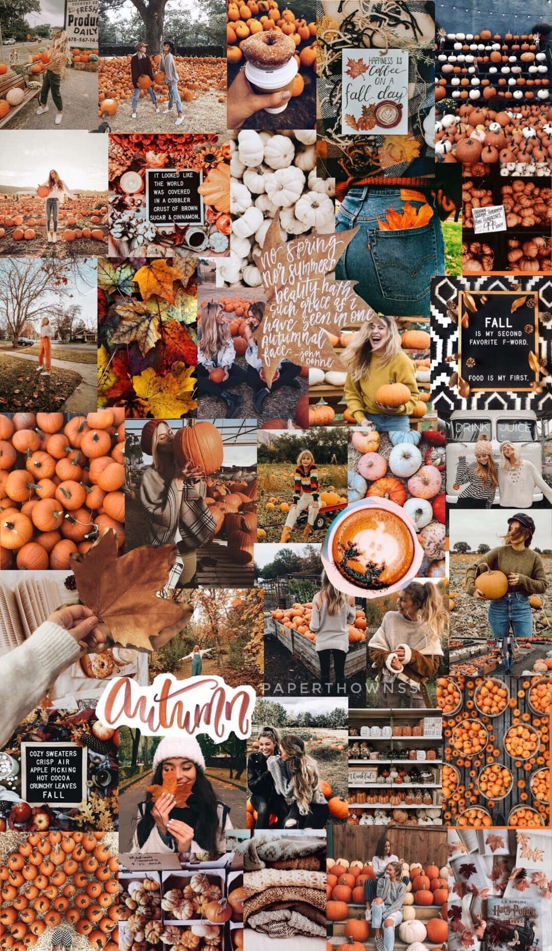 Fall Collage Orange And White Pumpkins Wallpaper