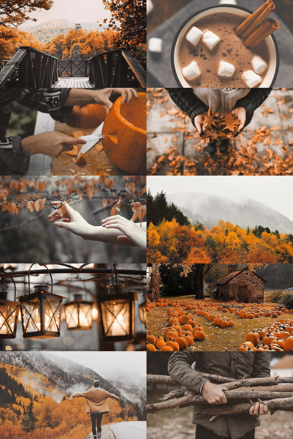 Kollektion af efterårsfarver i Orange Aestetik ved koldt vejr. Wallpaper